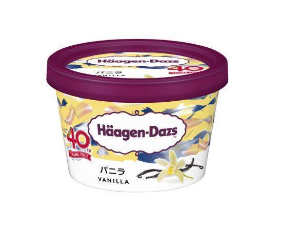 バニラアイスクリーム 【V1408】Vanilla Ice Cream