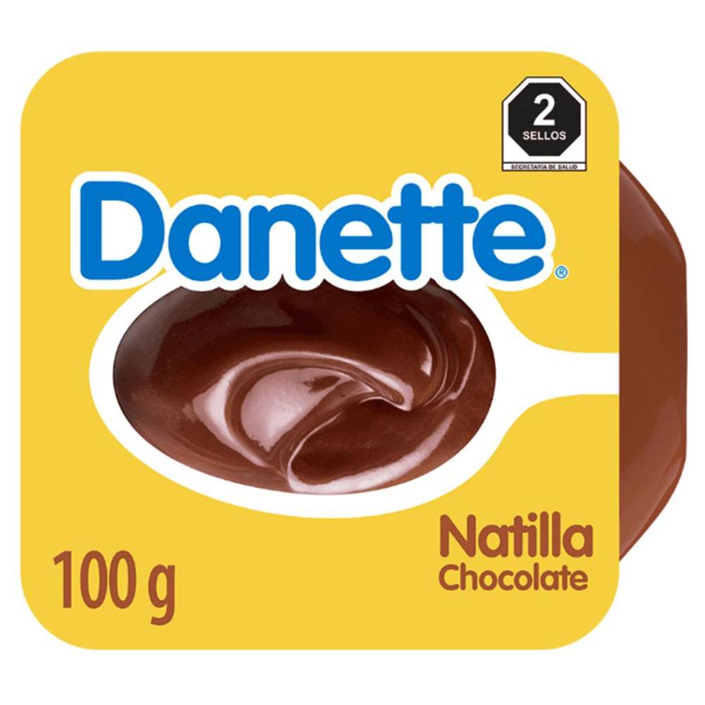 Danette · Natilla sabor chocolate (100 g)