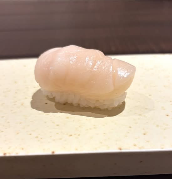 Scallop