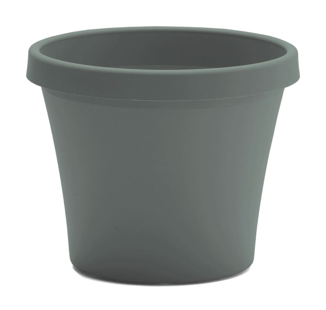 Bloem Terra 10.75 In. H X 13 In. W X 9 In. D Plastic Traditional Planter Basil