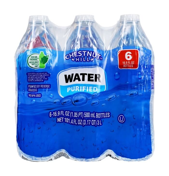 Silver Falls Purified Water Bottles (6 x 16.89 fl oz)