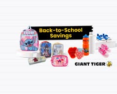 Giant Tiger (98 George Street)