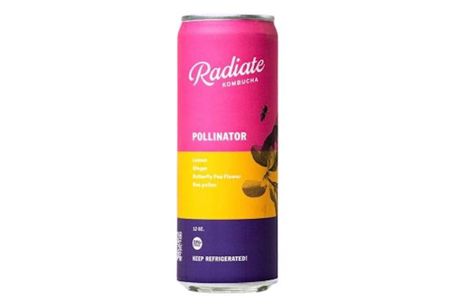 Radiate Kombucha – Pollinator