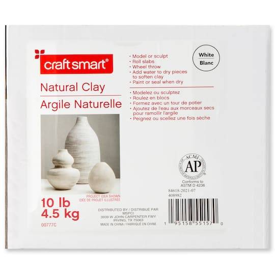 Craft Smart Natural Clay (white)