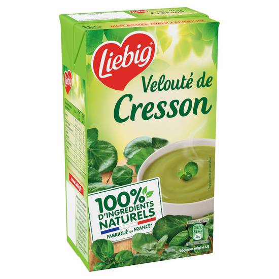 Liebig - Pur soup velouté de cresson (1 L)