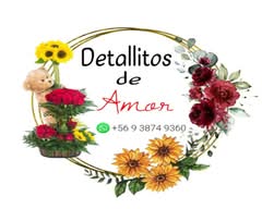 Florería Detallitos De Amor SpA (Providencia)