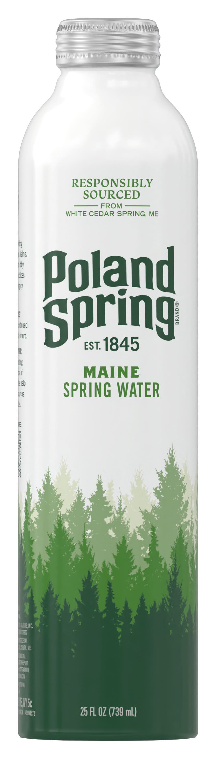 Poland Spring Single Source 100% Natural Spring Water (25 fl oz)