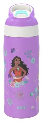 zak! Stainless Steel Double Wall Vacuum Riverside Water Bottle 19 oz, Purple