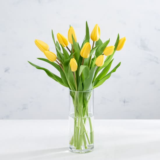 Co-op British Tulips