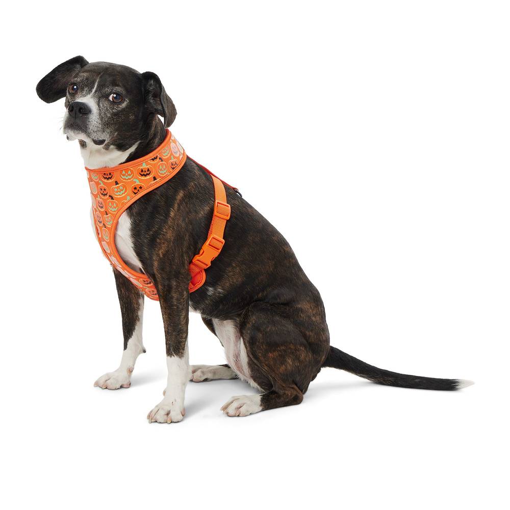 Thrills & Chills Pumpkin Reversible Dog Harness (Color: Orange, Size: Large)