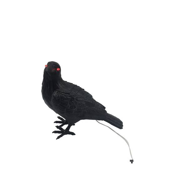 Standing Raven