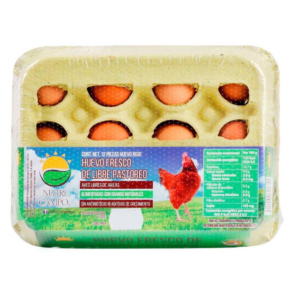 Nutri Campo · Huevo fresco de libre pastoreo, rojo (12 un)