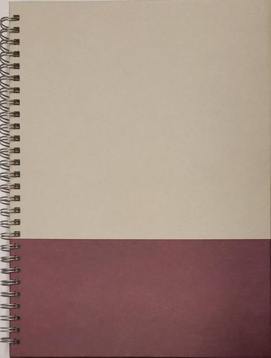 Staples Truered Hard Cover Notebook, 6.5" X 9.5" (80 pages)