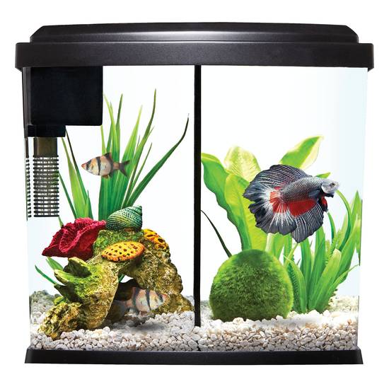 Top Fin® Bowfront Betta Duo Aquarium - 2.5 Gallon (Color: Black, Size: 2.5 Gal)