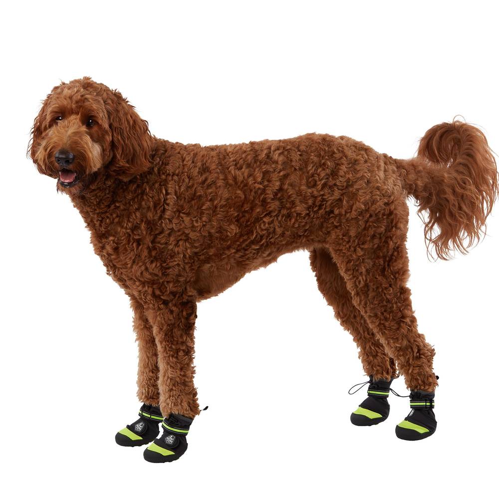 Arcadia Trail Year-Round All-Terrain Dog Boots (x large)