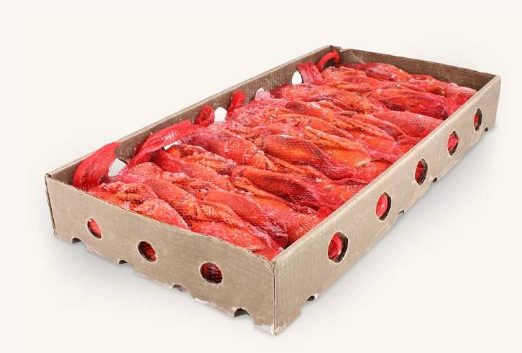 Mazzetta LOBSTER COOKED WHOLE WILD CAUGHT R/W (Case of 1)