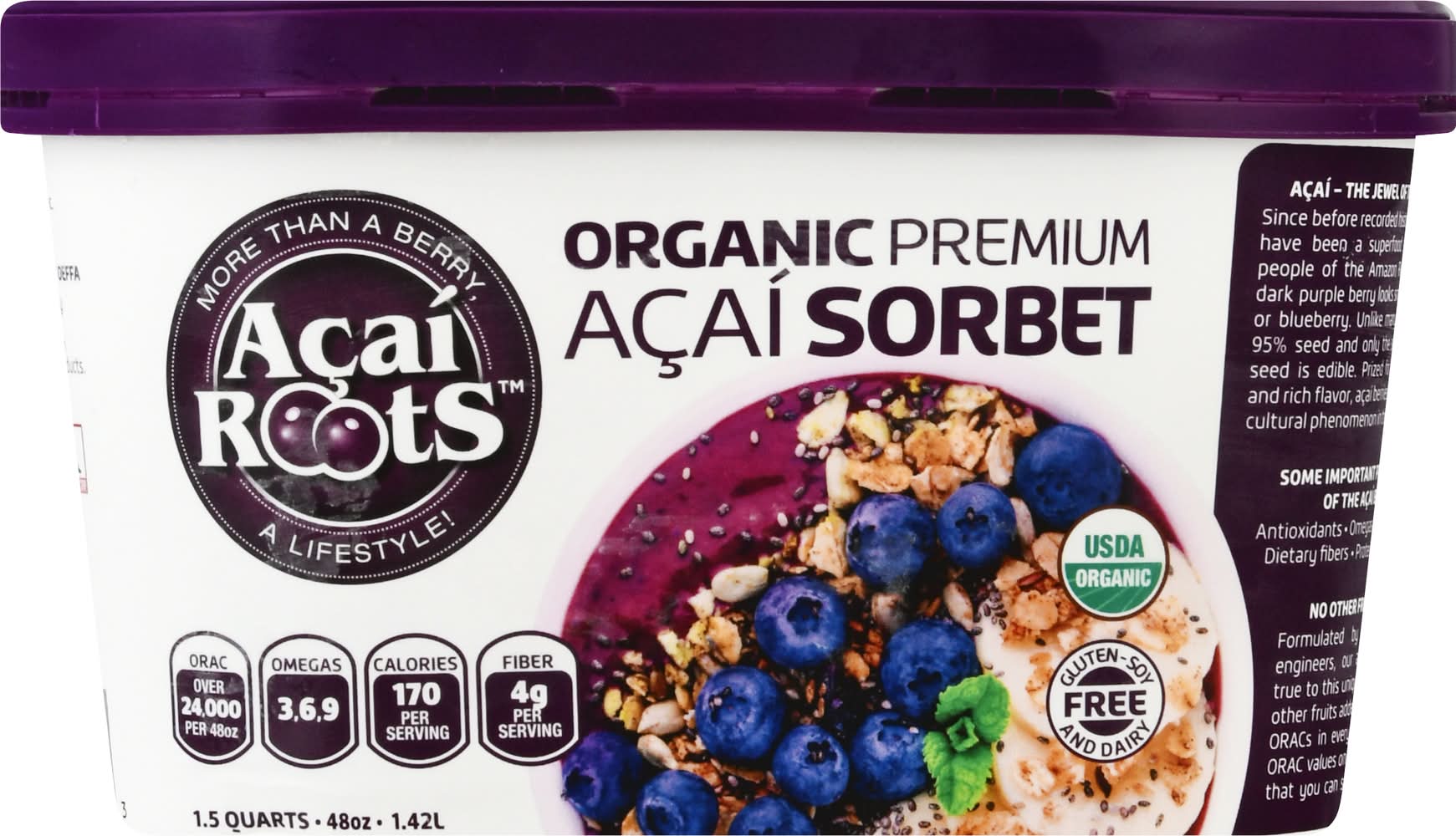 Açaí Roots Organic Acai Sorbet (3.13 lbs)