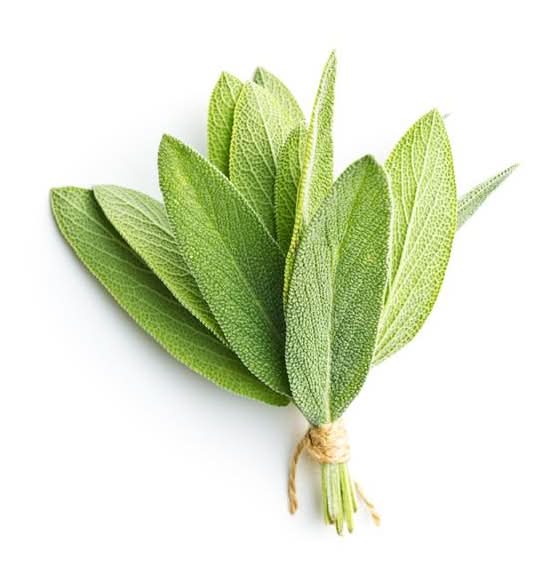 Herb Sage