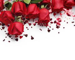 Heartlake Flowers & Gifts