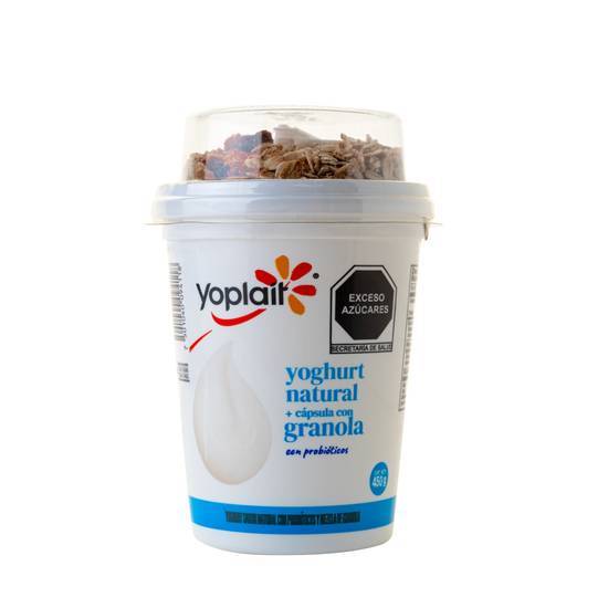 Yoplait Yogurt Natural Con Granola 450g