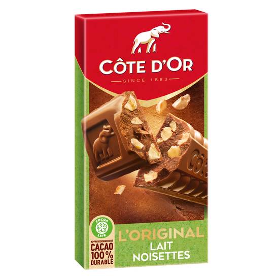 Côte D’or - Chocolat au lait et aux éclats de noisettes