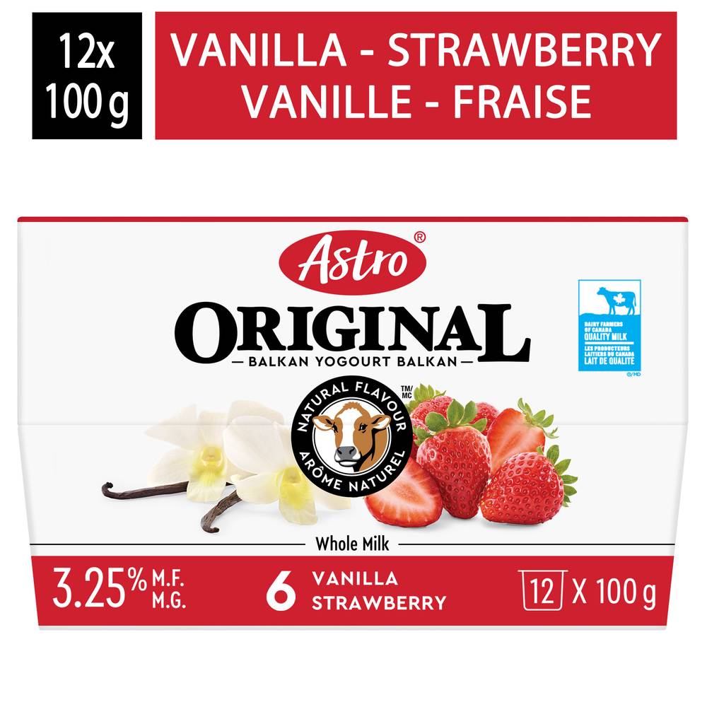 Astro Original Balkan Yogurt 6% (12 x 100 g)