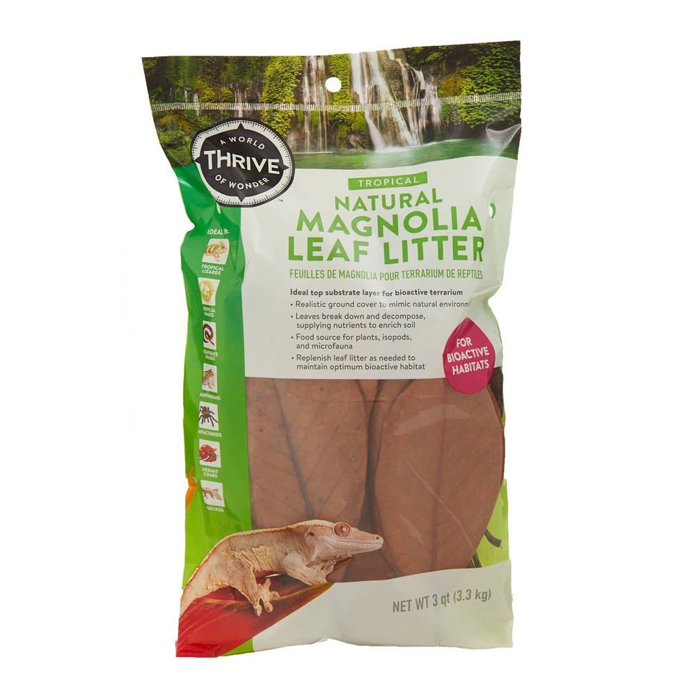 Thrive Natural Magnolia Leaf Litter