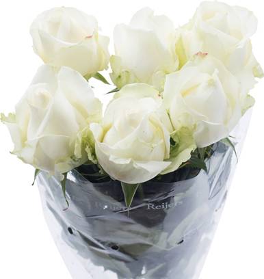Avalanche ramalhete de rosas brancas (1 unidade)