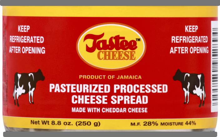 Tastee Cheese Pasteurized Processed Cheese Spread