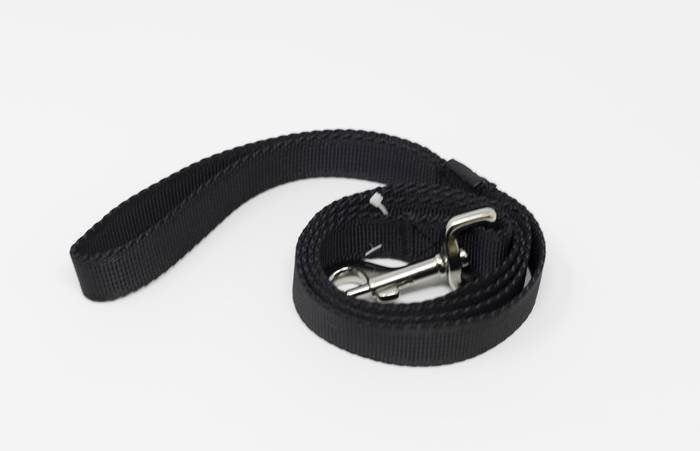 Play On Dog Leash, 1 In x 4 Ft, Black