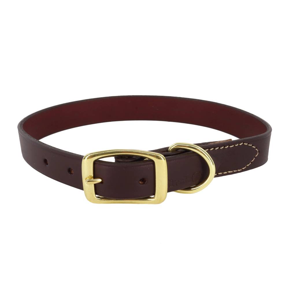 Coastal Circle T Latigo Leather Town Dog Collar With Brass Hardware (3/4" x 18")