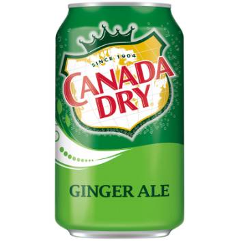 Ginger Ale 355ml can