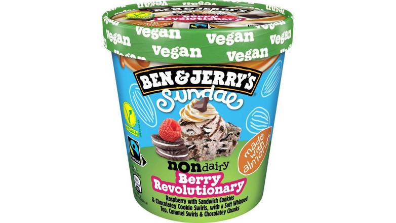 Ben & Jerry's sundae non-dairy vegan berry revolutionary 427 ml