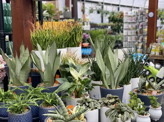 Sunnyside Gardens (3723 West 44th Street)