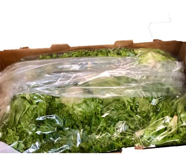 Duck Delivery Produce Manns Simply Single Green Leaf