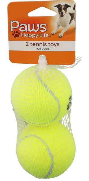 Paws Happy Life Premium Fetch Balls Dog Toy (2 ct)