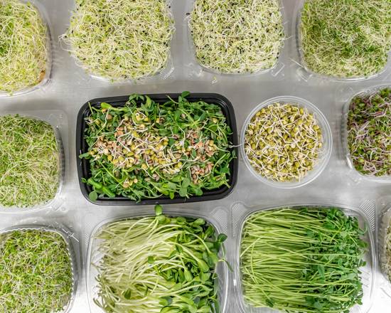 Genesis Sprouts
