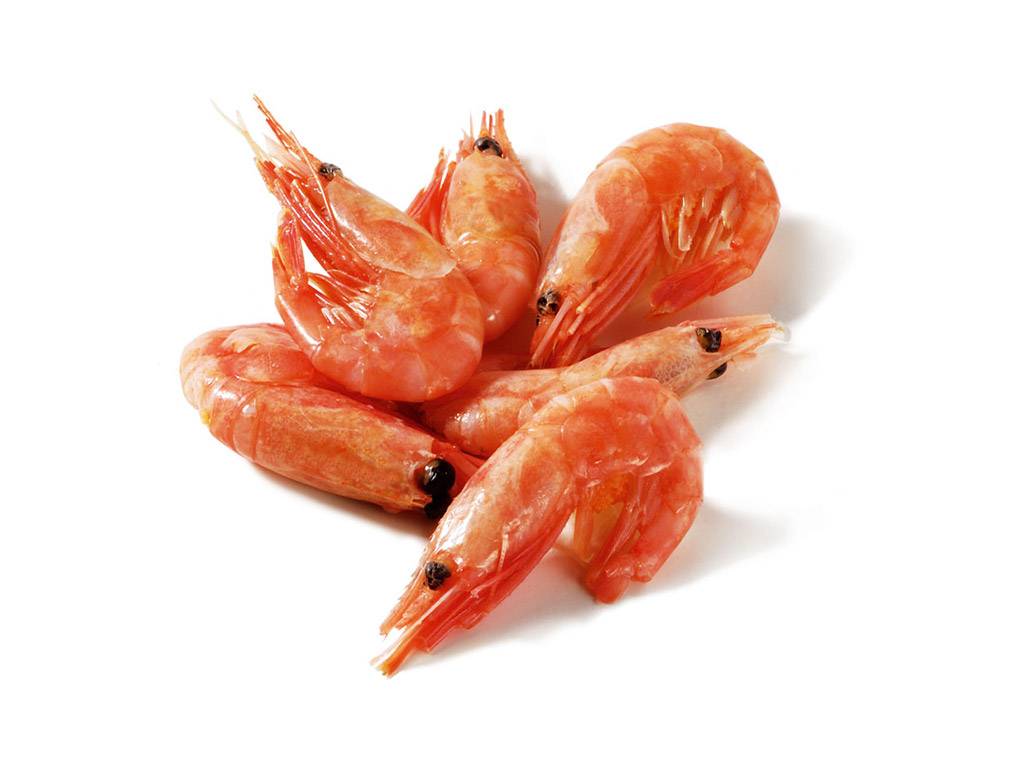 Frozen Shrimp - Head on (Central America), 30-40 ct - 4 lb