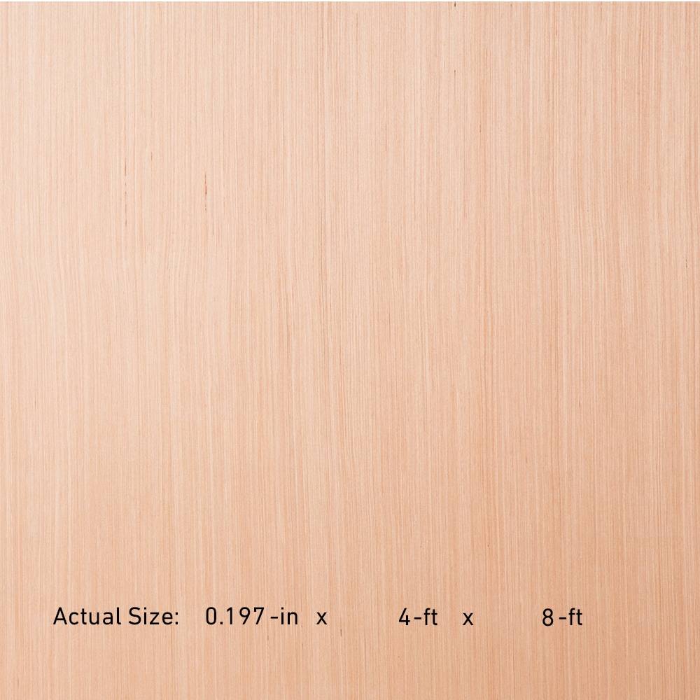 RevolutionPly Plywood 5mm x 4-ft x 8-ft Poplar Sanded Plywood | 518477