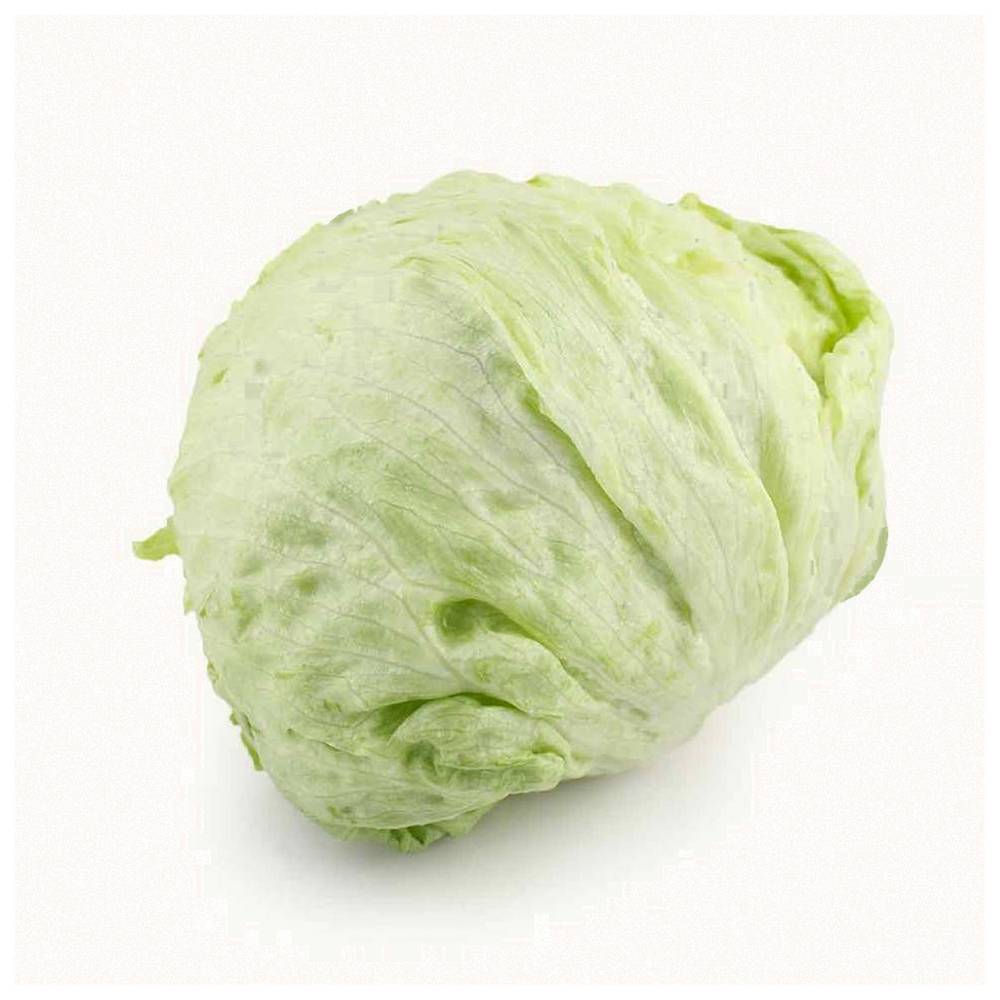 Large Iceberg Lettuce