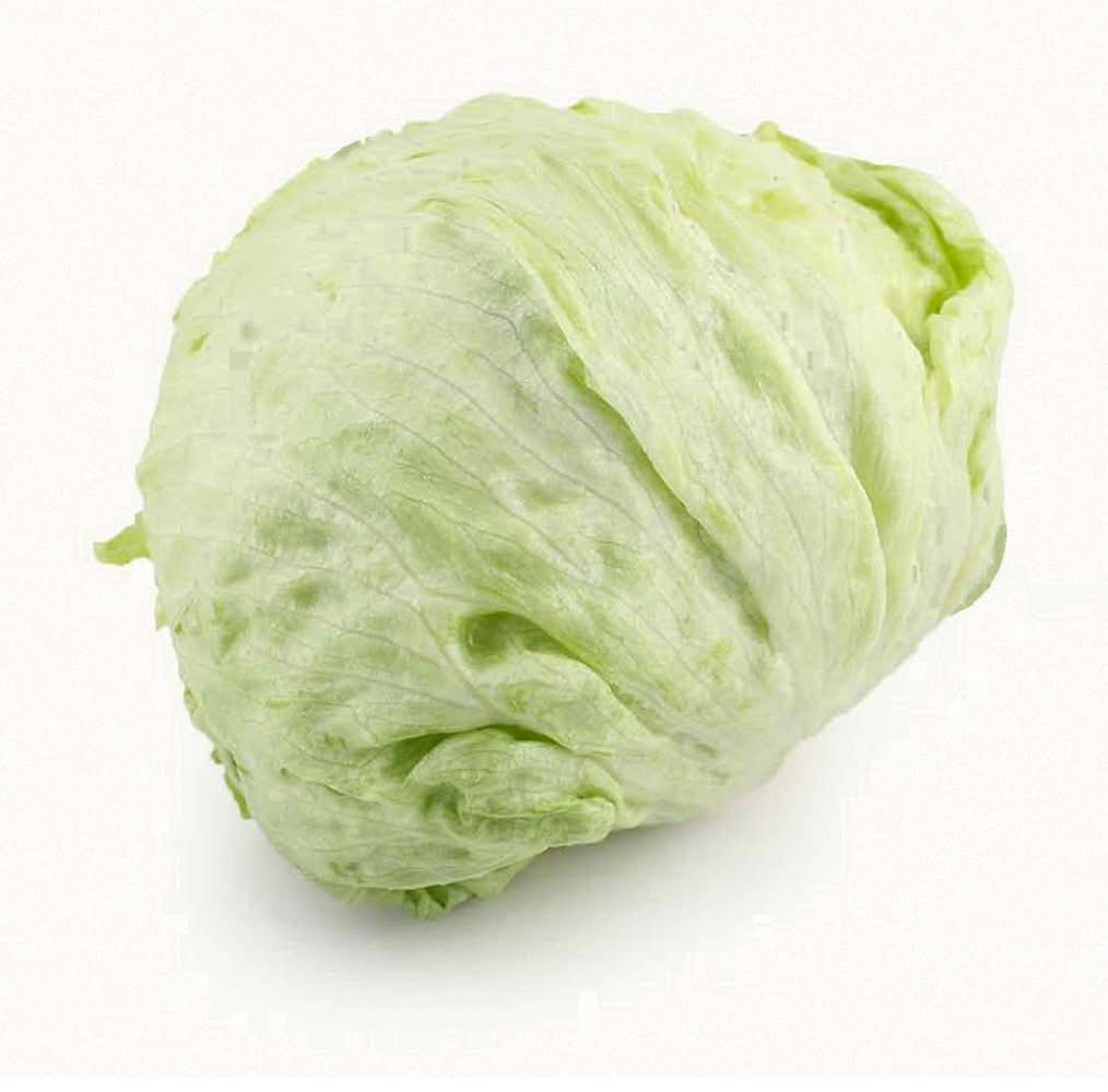 Large Iceberg Lettuce