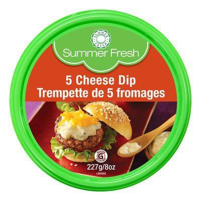 Summer Fresh Five Cheese Dip (227 g)