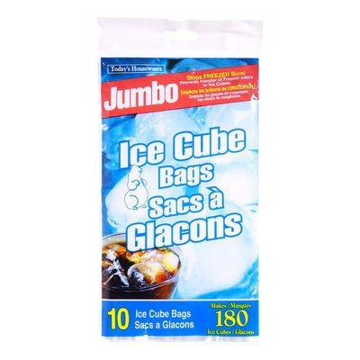 Today's housewares sacs à glaçons (10unités) - ice cube bags (10 units)