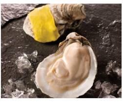 Fresh Shucked Oysters - 16 oz (1 Unit per Case)