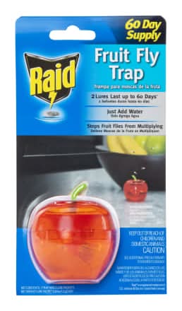 Raid® Fruit Fly Trap