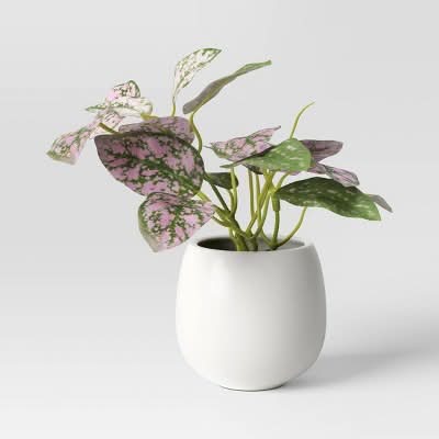 Threshold Mini Tabletop Polka Dot Artificial Plant, 6 in