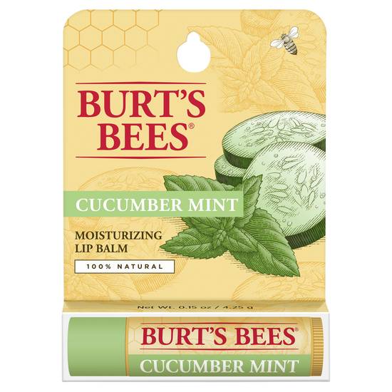 Burt's Bees Cucumber Mint Lip Balm (1 ct)