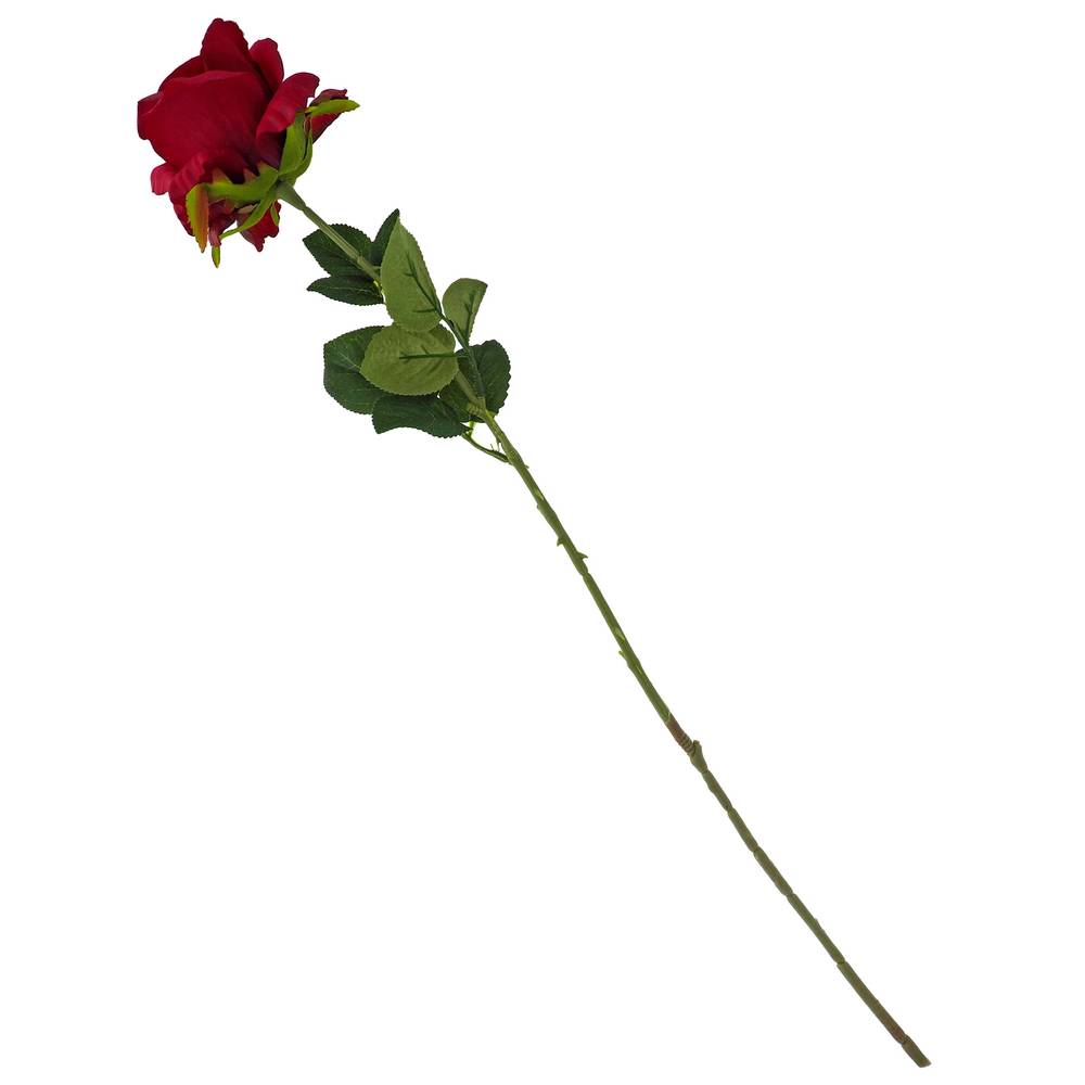 Single Rose W/ Leaves On Long Stem