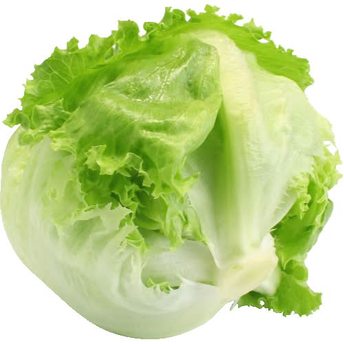 Iceberg Lettuce