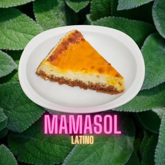 🍰 Cheesecake Classique